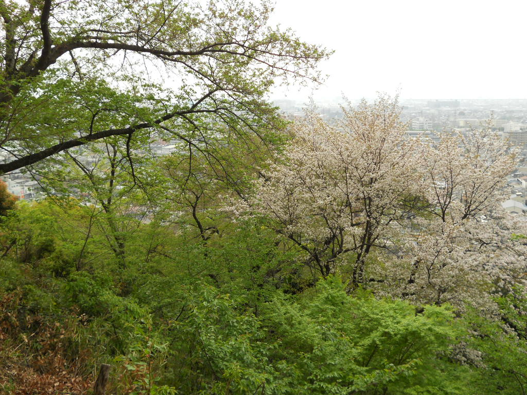 e0300042_1845246.jpg
