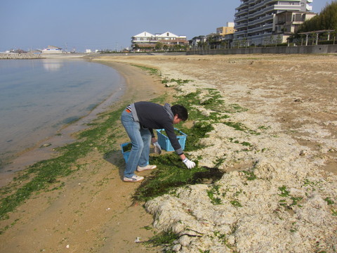 e0020945_139928.jpg