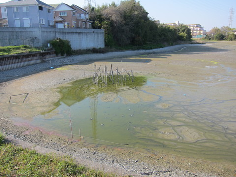 e0020945_801726.jpg