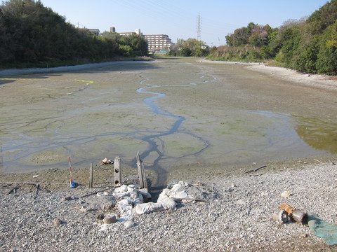 e0020945_80656.jpg