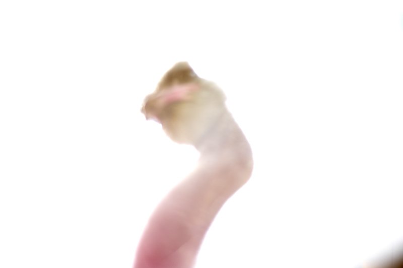 e0321045_2152593.jpg