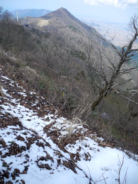 弥彦山　フラワートレッキング_b0122448_18191571.jpg