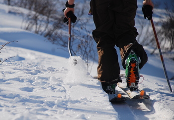 Valdez Thompson Pass Alaska Ski 2013 その６_f0145348_1552293.jpg