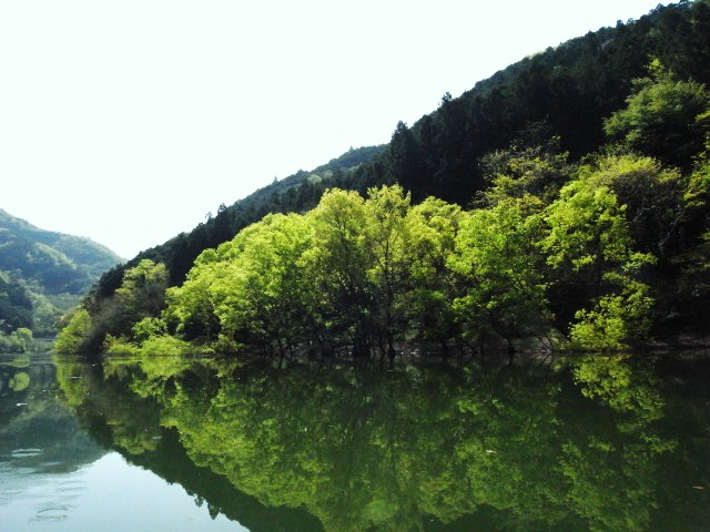 c0153951_001784.jpg