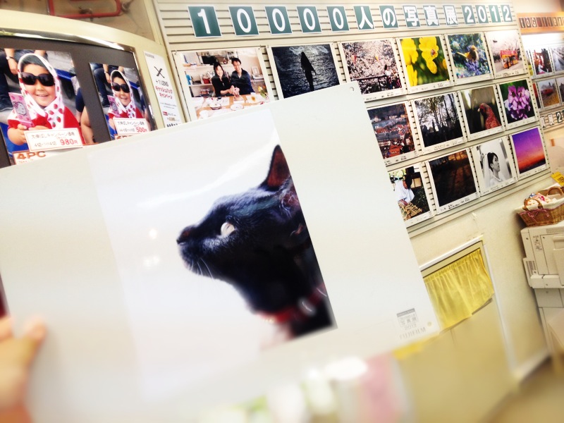 ◆今週末はキャンプ合同展、そしてニャンコ合同展にでかけよう!_b0008655_19404445.jpg