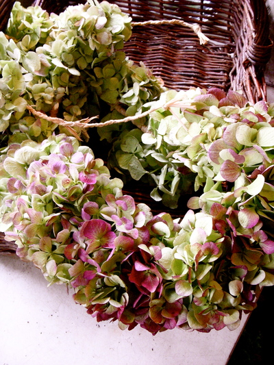 Hawaiian Lei Making。。。_a0229658_15322821.jpg