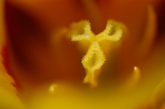 a0169060_00504.jpg