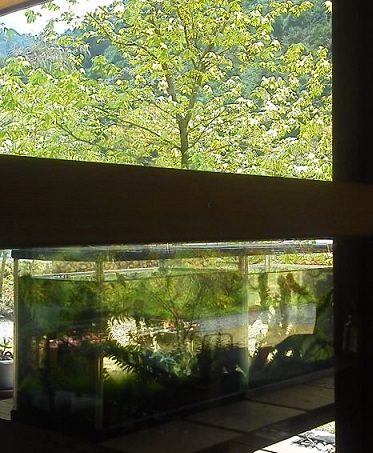 a0232573_1015689.jpg