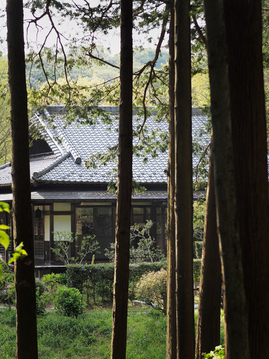 小さな世界~春苔~_a0161380_8285995.jpg