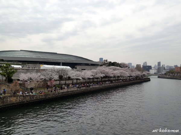 大阪城　桜の季節_d0140680_4323897.jpg