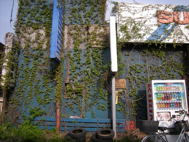 f0063887_2312306.jpg