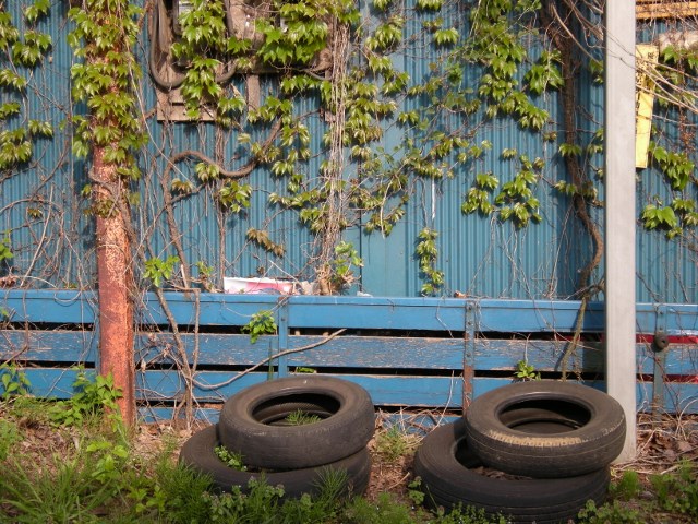f0063887_23152033.jpg