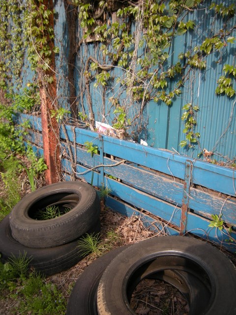 f0063887_23165229.jpg