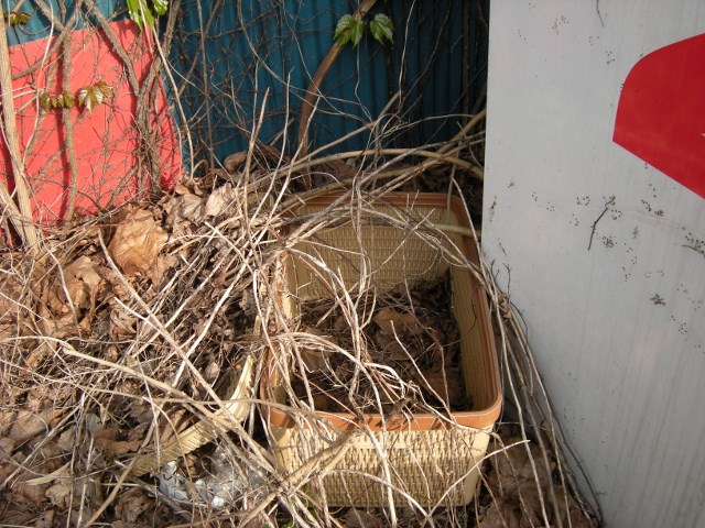 f0063887_23184253.jpg