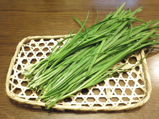c0281888_1021196.jpg