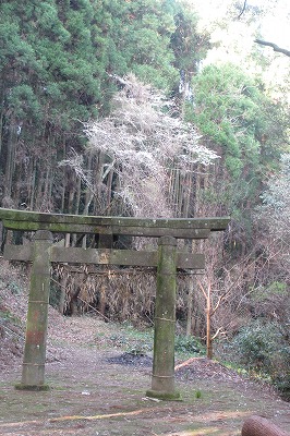 平（でぇら）の現人（あらひと）神様の祭りとゆかりの地を訪ねて_a0137997_72505.jpg