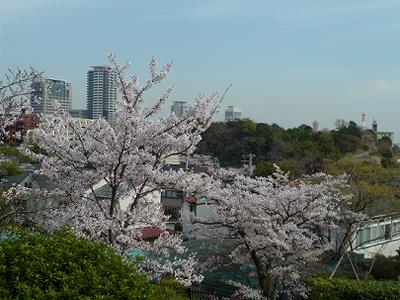 b0051598_2374643.jpg