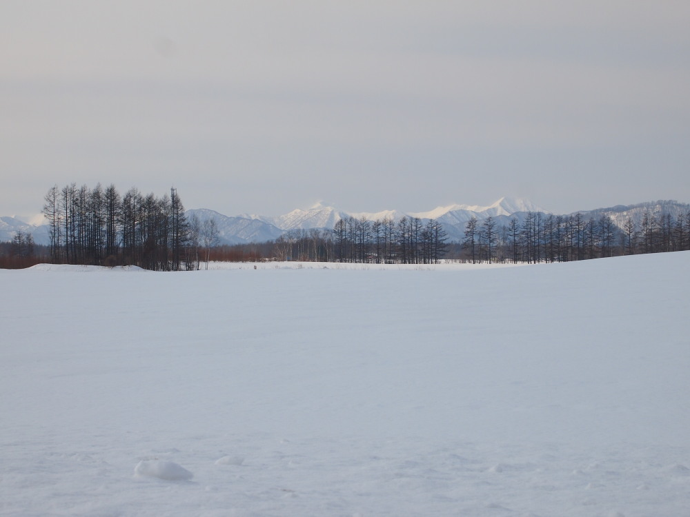 春を待つ”更別村の農村風景”を散策しています。~その1~_f0276498_2227055.jpg