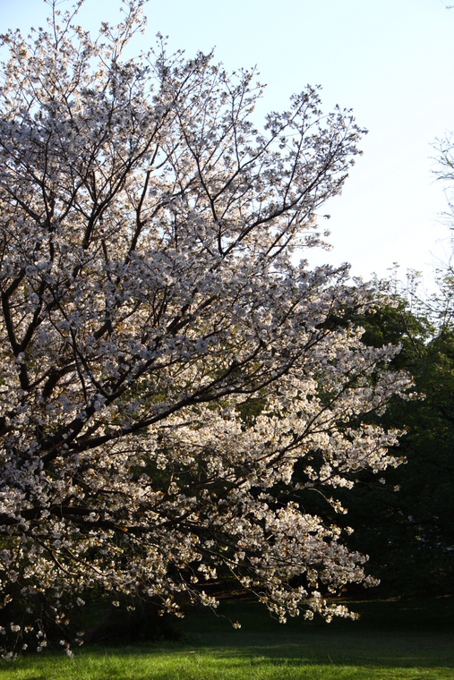 d0248502_211183.jpg