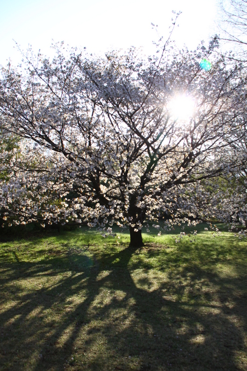 d0248502_213631.jpg