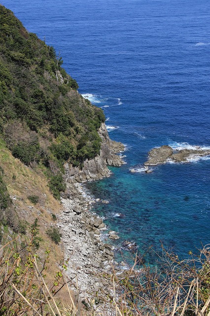 チュリーップと　丹後半島の旅part2（食事編）_a0123003_16334058.jpg