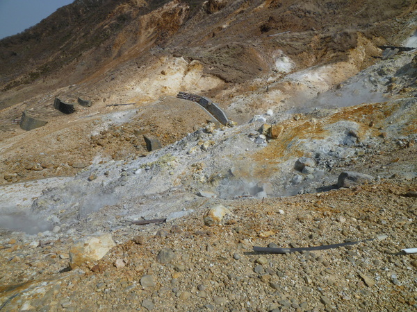 d0170615_65079.jpg