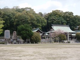 舞い散る桜の下で_a0043520_9345496.jpg