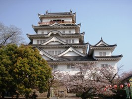 舞い散る桜の下で_a0043520_9351267.jpg