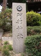 舞い散る桜の下で_a0043520_9352617.jpg