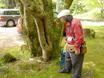 加満田庭園の住人達_e0152233_2183687.jpg