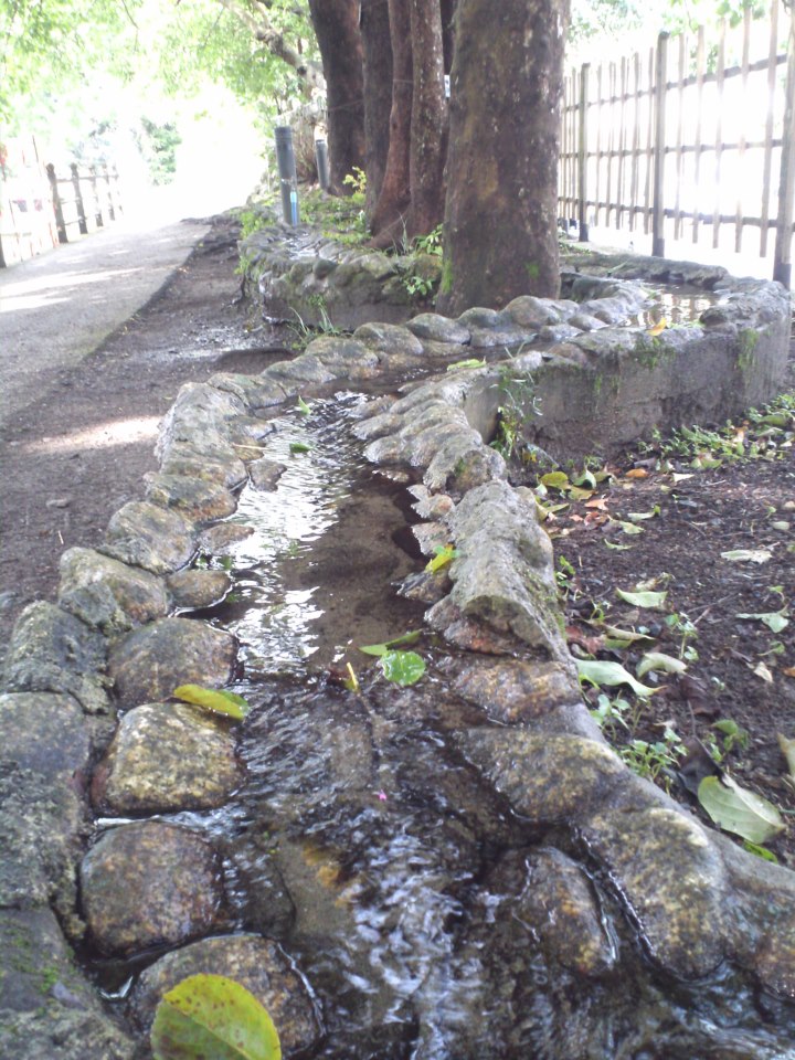 e0041337_1951794.jpg