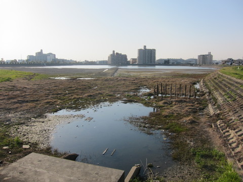 e0020945_1118235.jpg