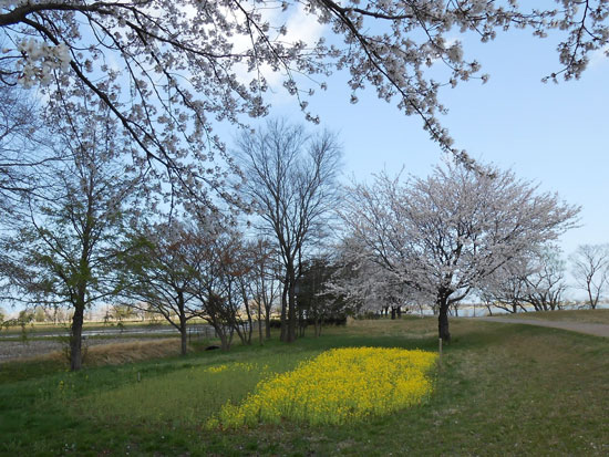 c0093046_8443864.jpg