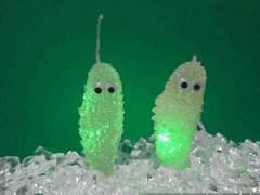 e0005548_0241140.gif