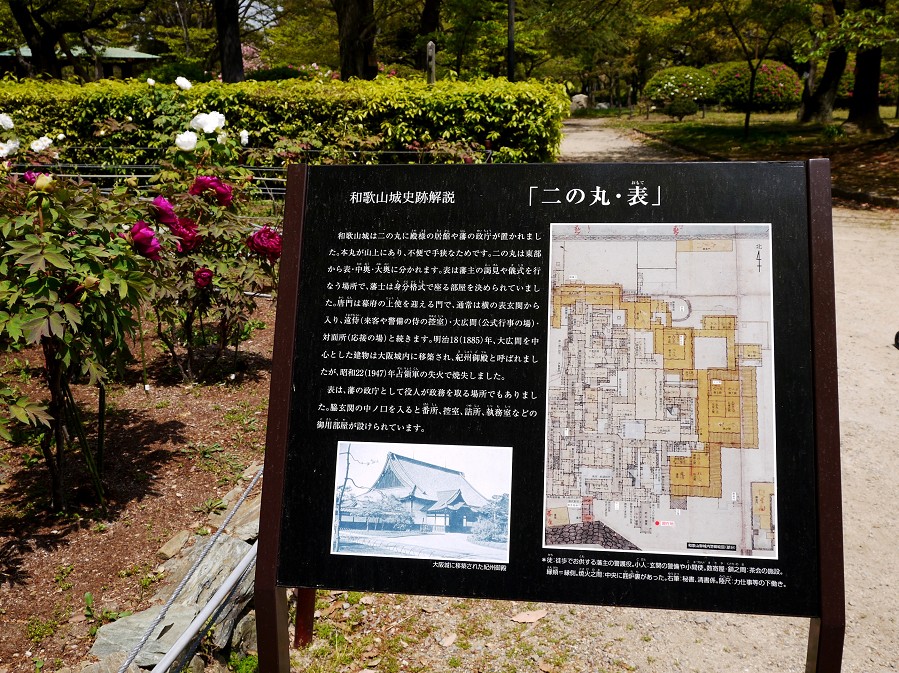 　　和歌山城公園にて　　１２年前、２０１３年４月撮影_b0093754_2225584.jpg