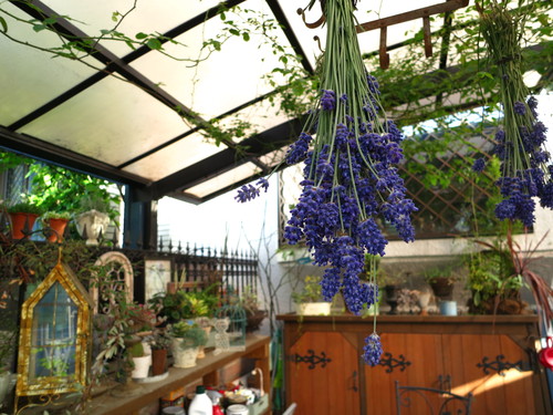 d0231057_2216491.jpg
