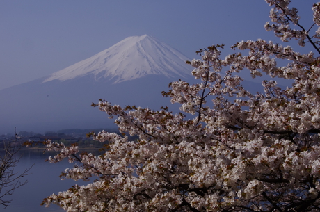 最新富士山の撮影記録_d0229560_21162073.jpg