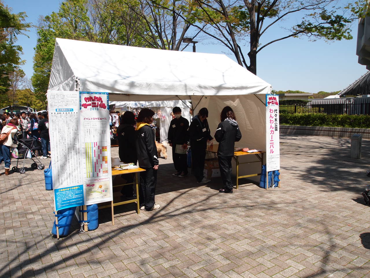 代々木公園　わんわんカーニバル2013_e0125264_2133598.jpg