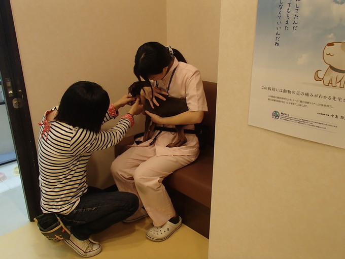 しつけ教室_b0287468_15185258.jpg
