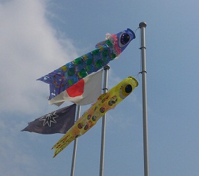 屋根より高く・・・・旗の隣にひらり☆泳いでます!_e0175370_10342582.jpg