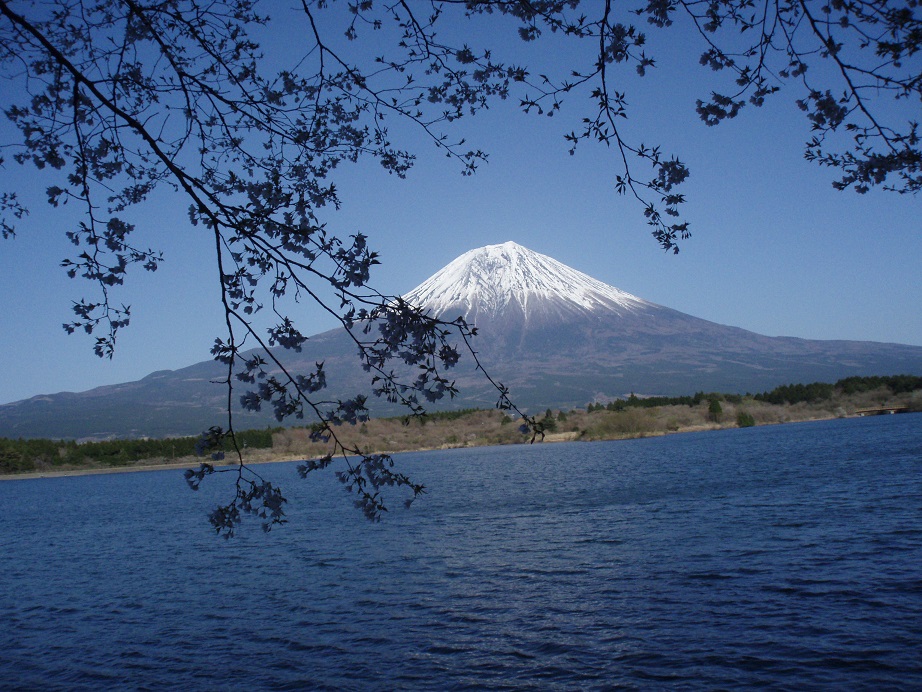 c0086176_847397.jpg
