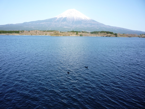 c0086176_848234.jpg