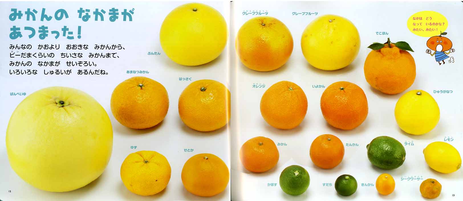 お仕事−43_a0162182_15494728.jpg