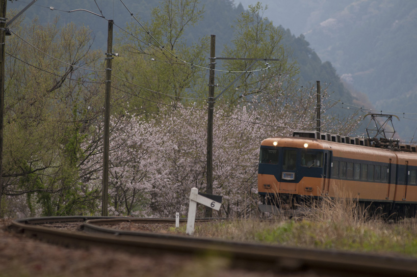 春の大井川鉄道 元近鉄特急系 旅するように暮らす 春の大井川鉄道 元近鉄特急系 旅するように暮らす