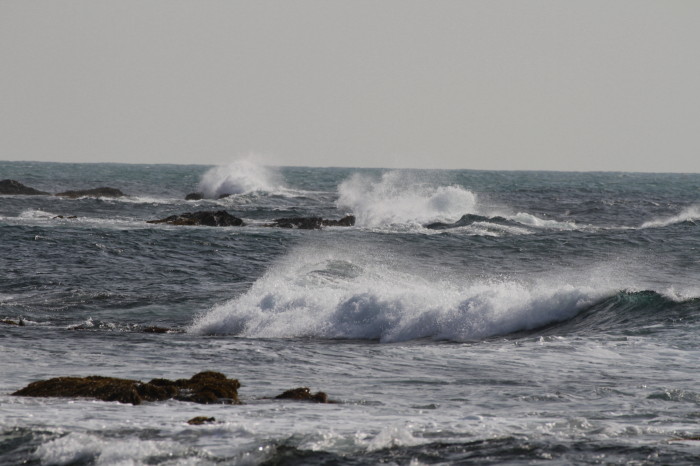 房総半島　千倉あたり_d0127888_927818.jpg