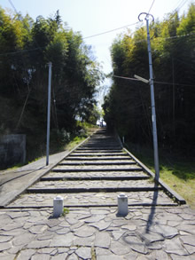 d0132289_072856.jpg