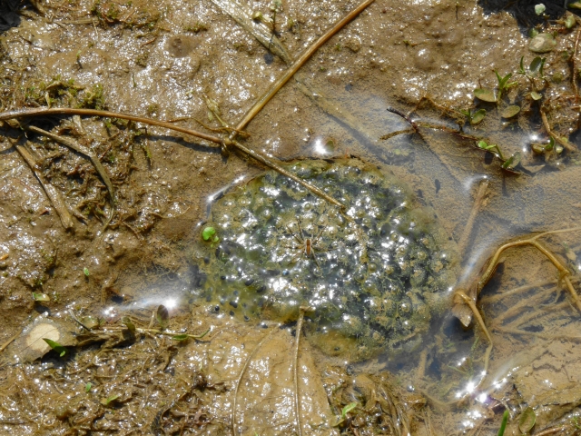 e0202393_88883.jpg