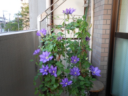 a0289494_11273136.jpg