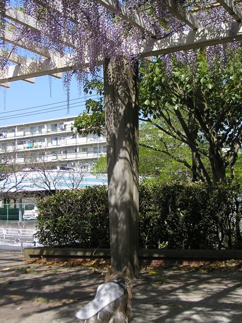 f0130894_21412823.jpg