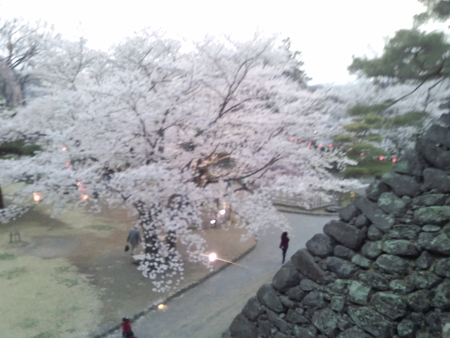 小諸の懐古園の桜が見頃です。_e0120896_10124197.jpg